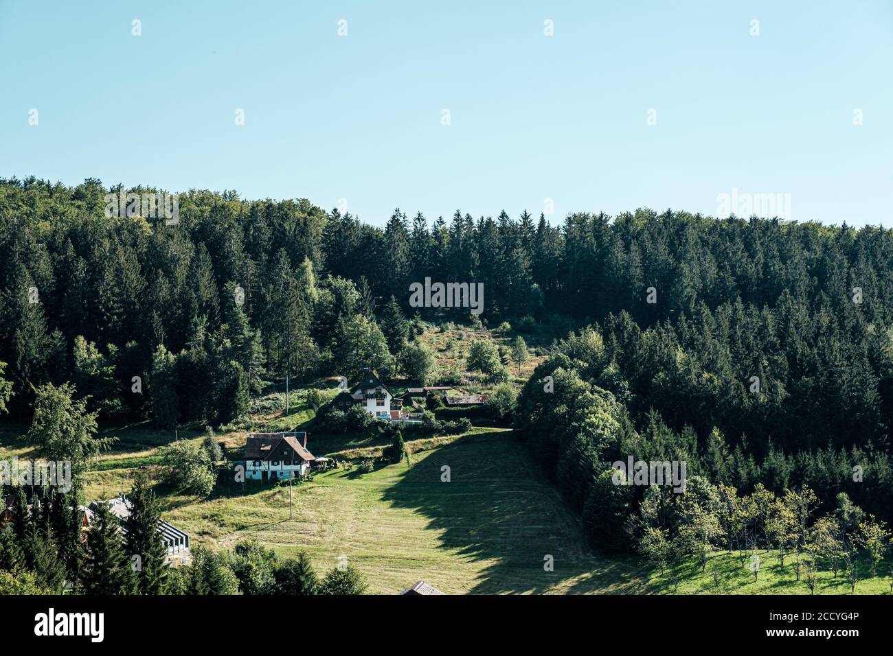 Vue typique du paysage à Sasbachwalden, Forêt-Noire, Allemagne Banque D'Images