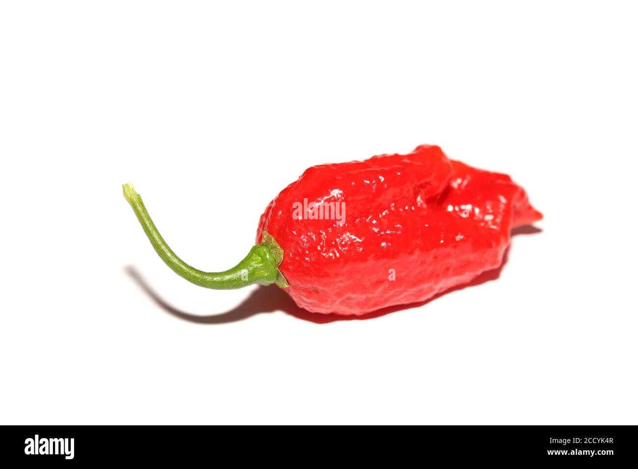 Red hot chili pepper isolated on white Banque D'Images