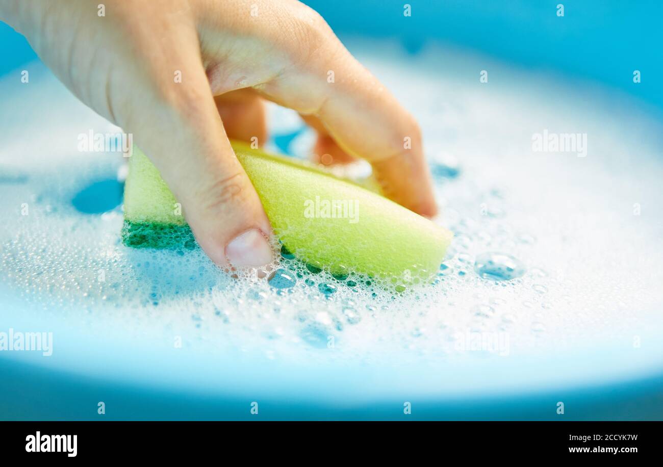 La main trempée éponge dans un seau d'eau savonneuse pendant la maison nettoyage ou nettoyage des ressorts Banque D'Images