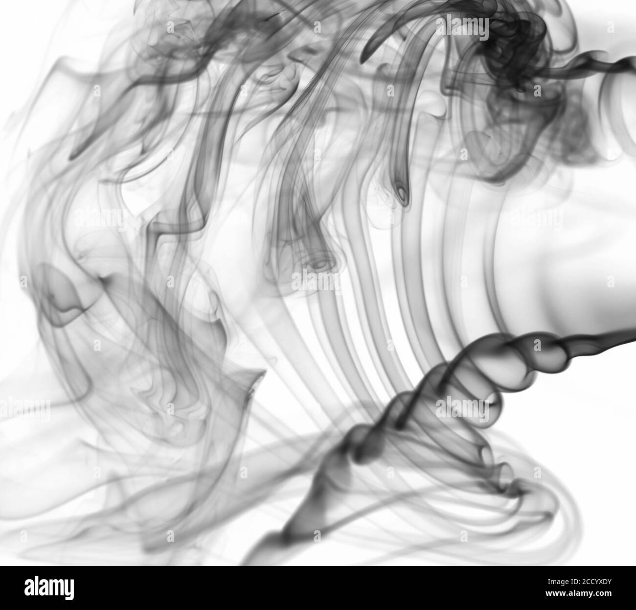 Forme fumée transparente grise abstraite sur fond blanc. Nuage de la courbe de fumée mystère Banque D'Images