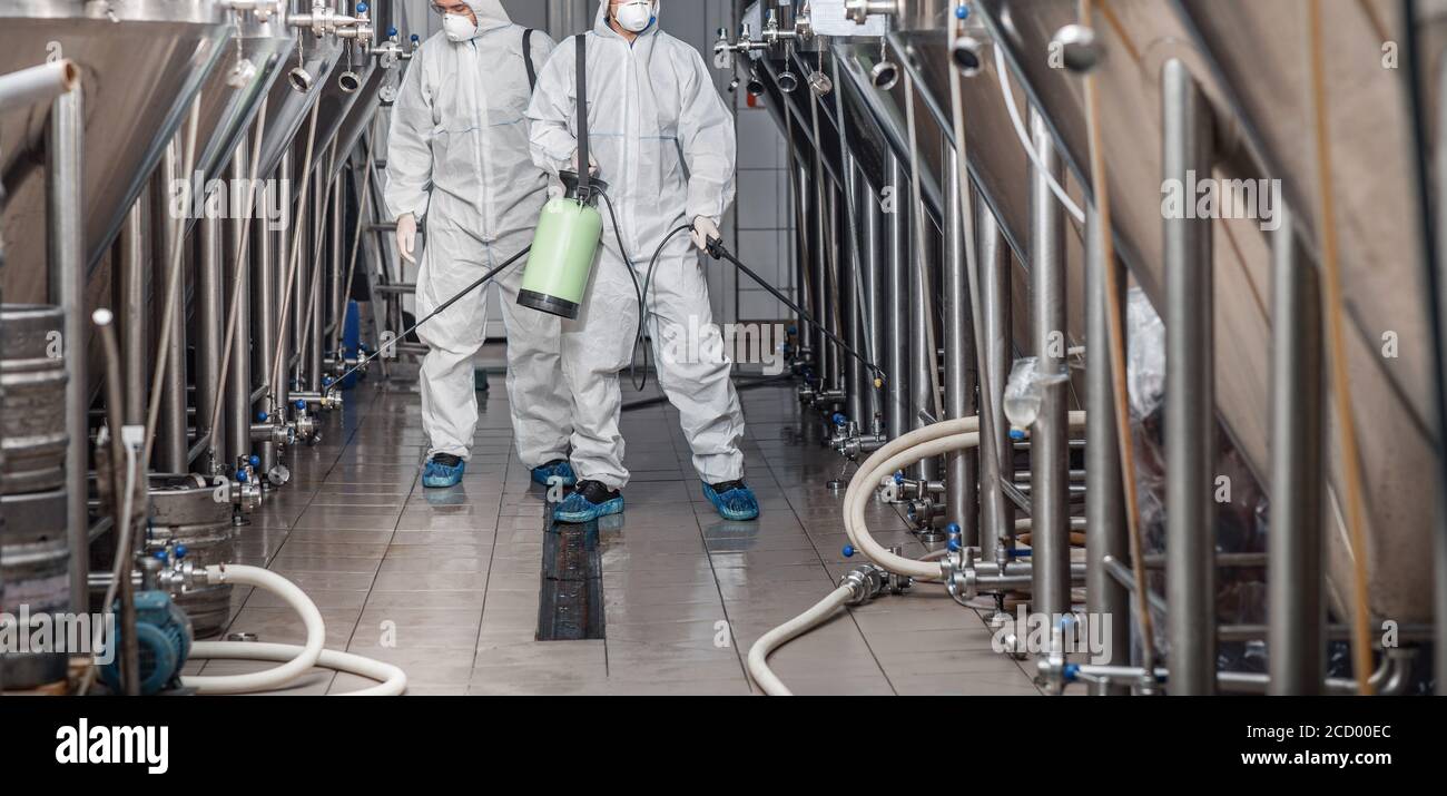 Fabrication de bière. Les travailleurs en costumes et masques de protection désinfectent l'usine Banque D'Images