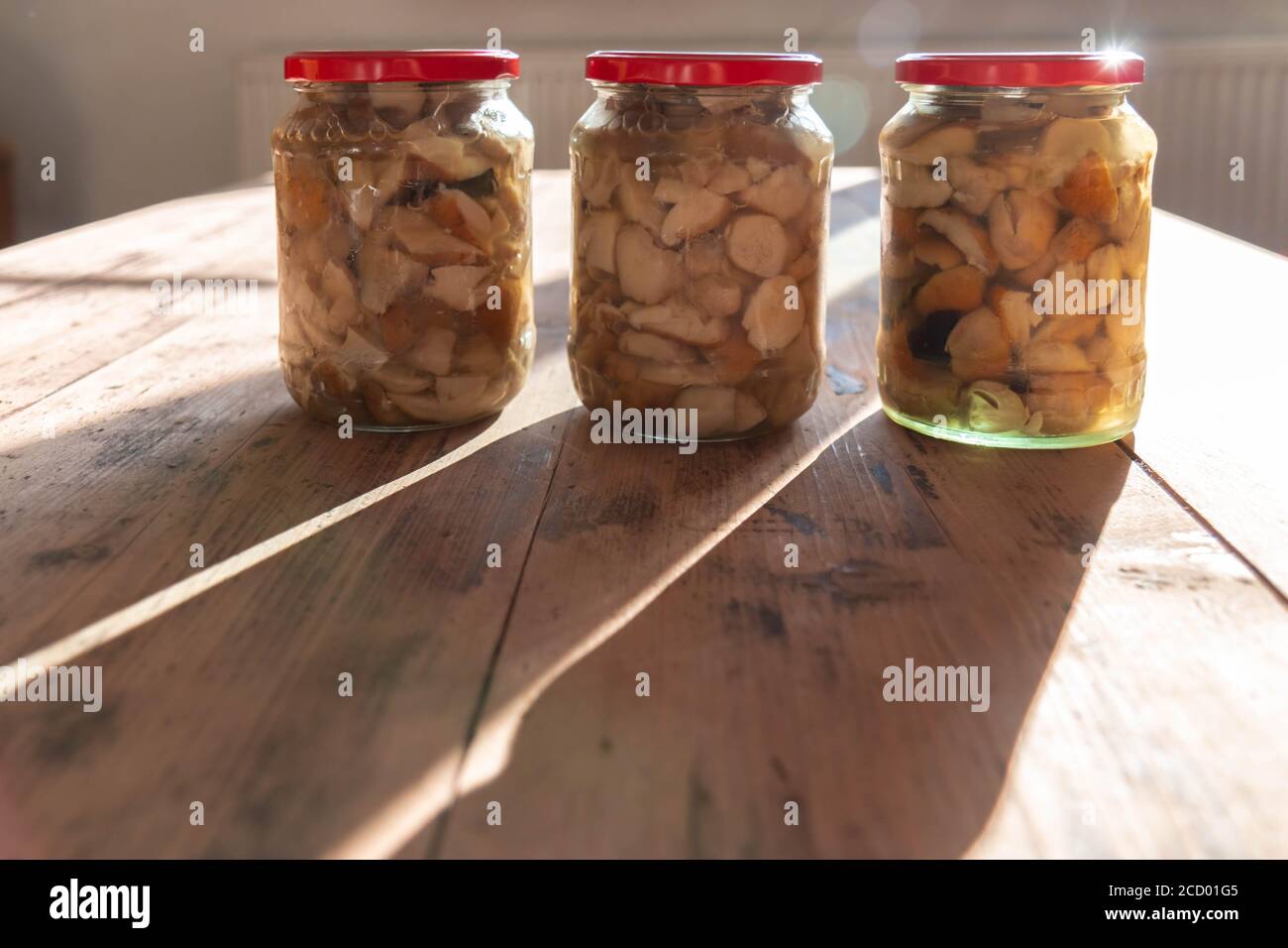 Champignons comestibles en conserve boletus en pots de verre avec ombres sur table en bois rustique. Cuisine rurale avec verrerie aux champignons préparée au soleil. Fait maison Banque D'Images