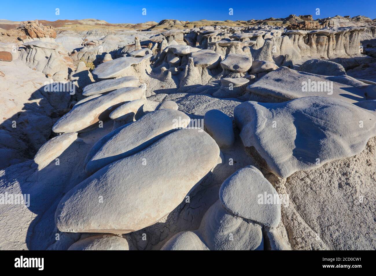 Région sauvage de Bisti de na Zin, près de Farmington, Nouveau-Mexique. Banque D'Images