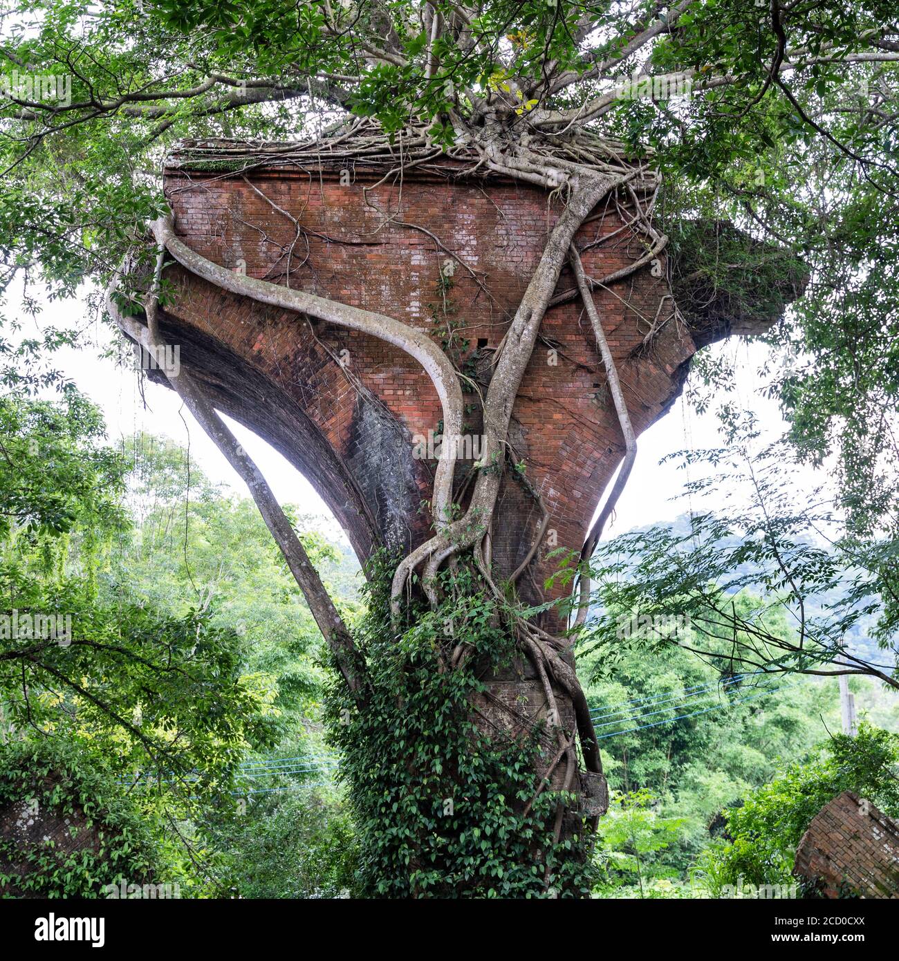 Pont de Longteng Broken, pont de Yutengping dans le village de Longteng, canton de Sanyi, comté de Miaoli, Taïwan, une destination de voyage célèbre, style de vie. Banque D'Images