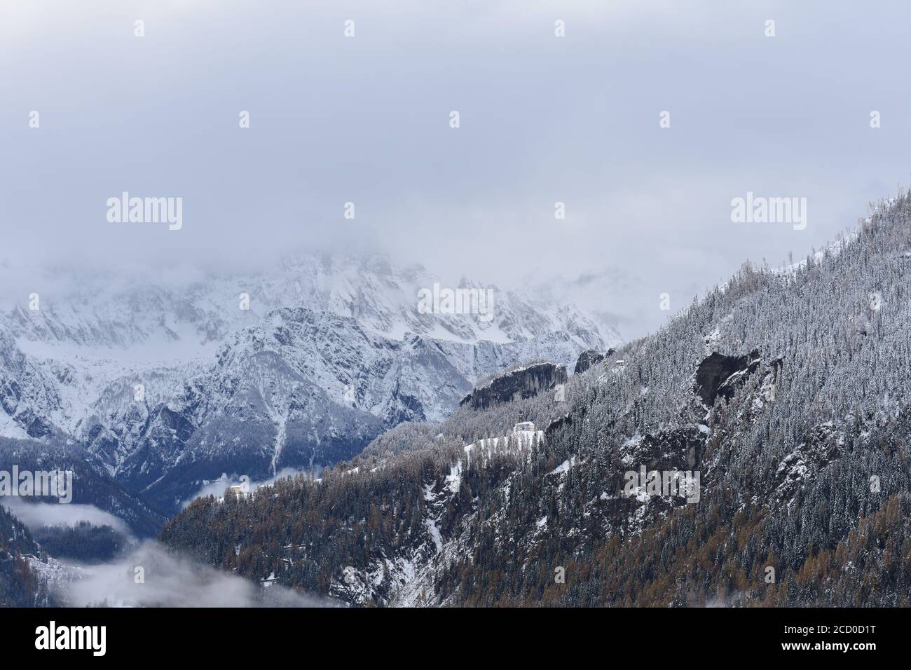 Livinallongo del Col di Lana, bosco, Monte Civetta Banque D'Images