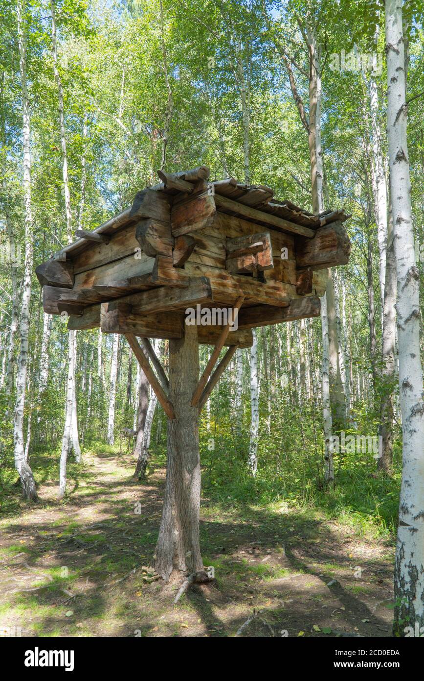 maison en bois sur des jambes élevées dans une forêt de bouleau. hutte debout sur des pattes de poulet. Maison en bois Fairy grand-mère Yaga. Banque D'Images