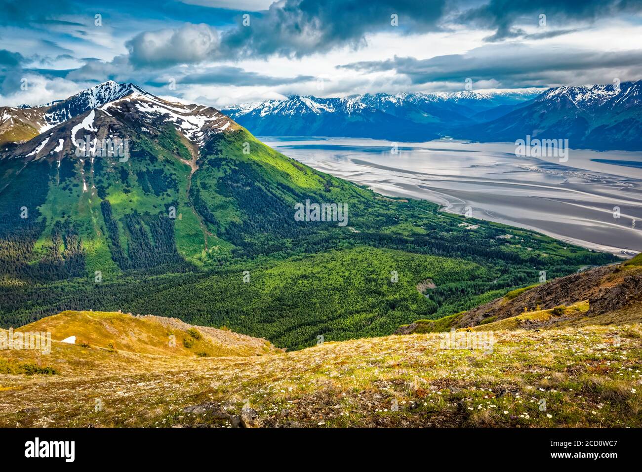 Vue sur Bird Creek Valley et Turnagain Arm depuis Bird Ridge, parc national de Chugach, centre-sud de l'Alaska en été; Alaska, États-Unis d'Amérique Banque D'Images