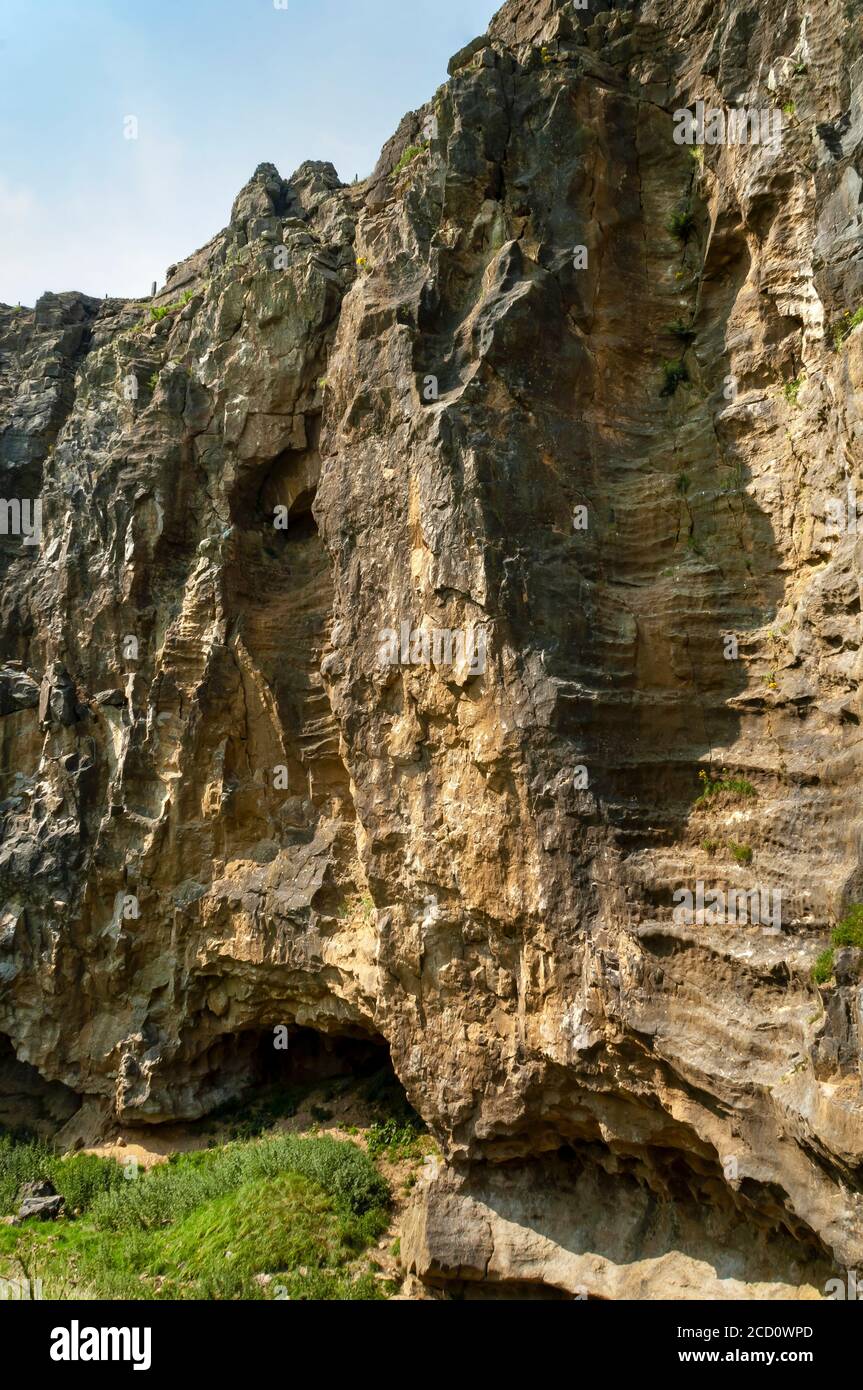 Système naturel de cavernes tronqué par l'exploitation de carrières au Dirtlow Pit, Dirtlow Rake près de Castleton, Derbyshire. Cavités veineuses verticales avec nervures horizontales Banque D'Images