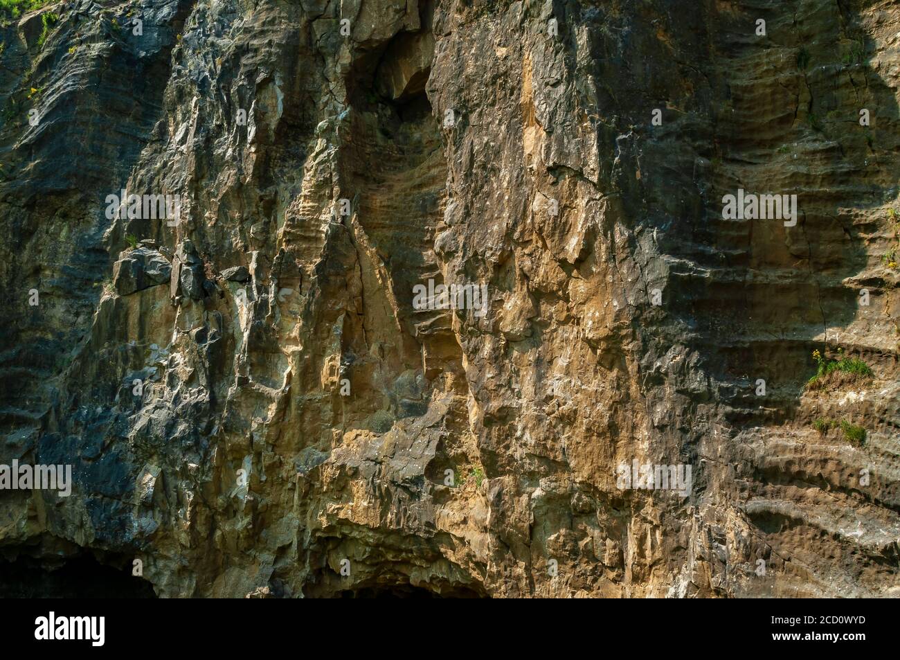 Système naturel de cavernes tronqué par l'exploitation de carrières au Dirtlow Pit, Dirtlow Rake près de Castleton, Derbyshire. Cavités veineuses verticales avec nervures horizontales Banque D'Images