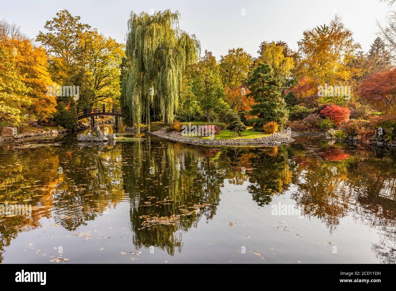 Couleurs d'automne dans le jardin japonais, parc Szczytnicki; Wroclaw, Silésie, Pologne Banque D'Images