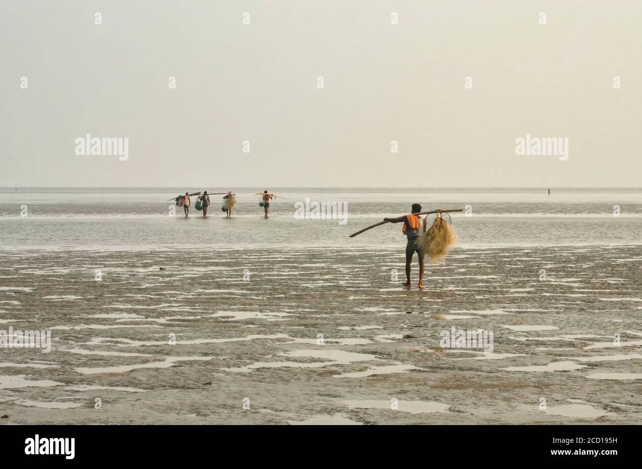 Pêcheurs portant des filets de pêche sur des poteaux au-dessus de l'épaule marchant sur la mer à marée basse; Chandipur, district de Baleswar, État d'Odisha, Inde Banque D'Images