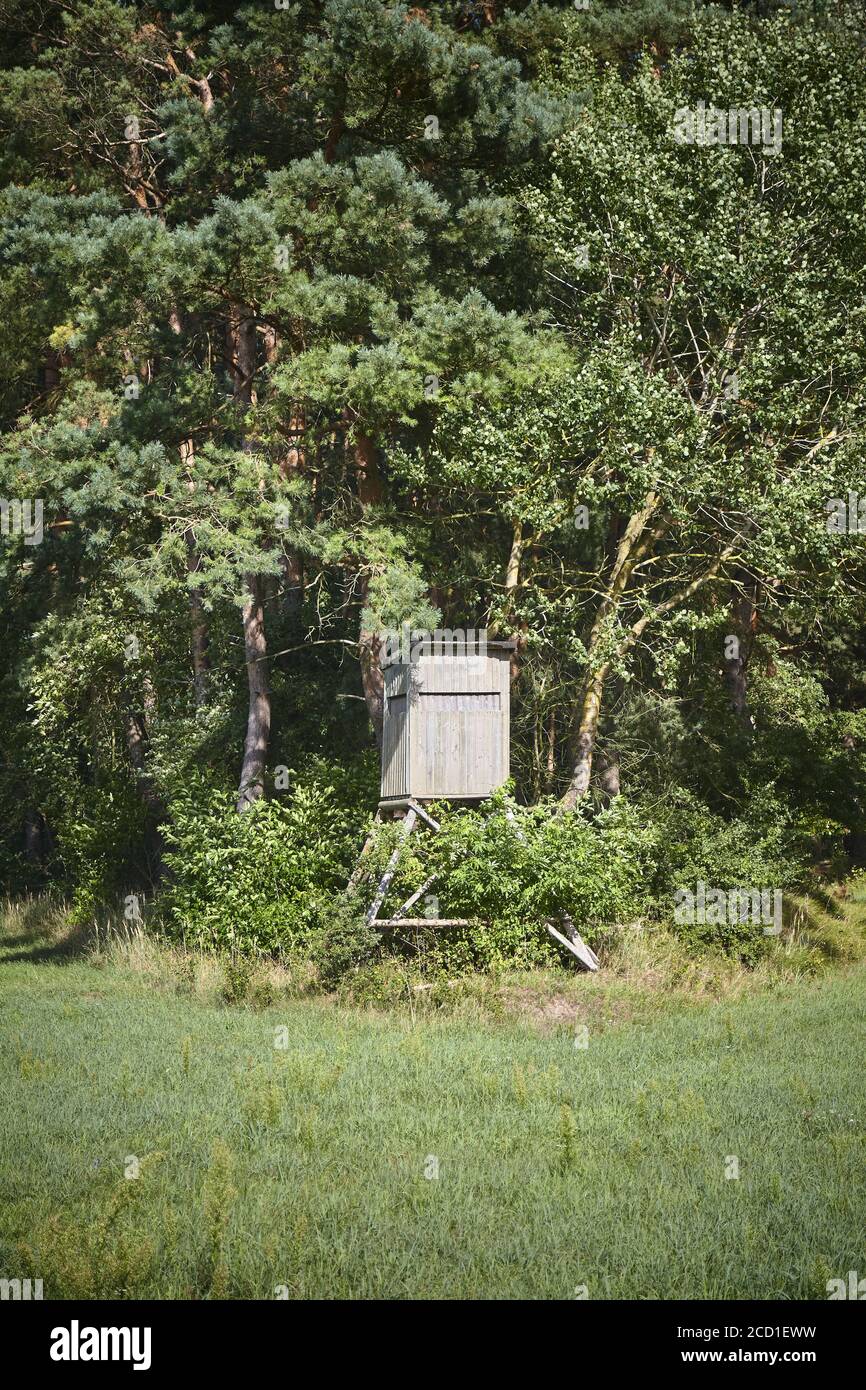 Stand de cerf en bois (chasse aveugle) au bord de la forêt. Banque D'Images