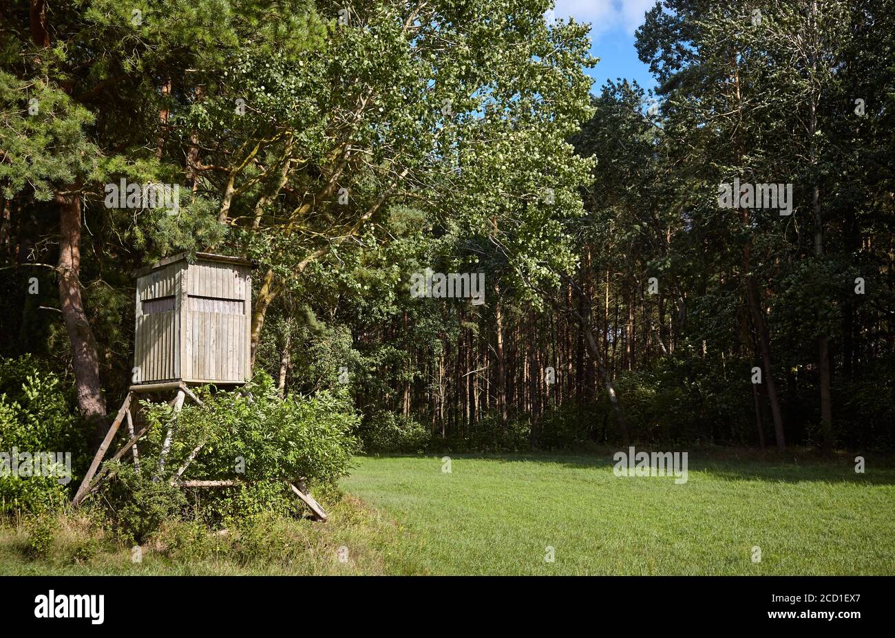 Stand de cerf en bois (chasse aveugle) au bord de la forêt. Banque D'Images
