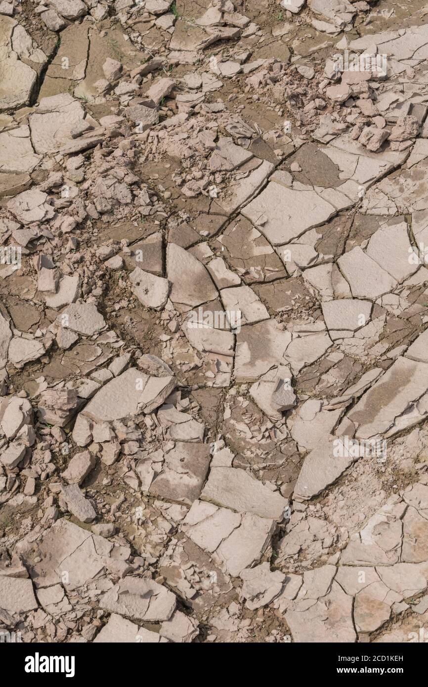 Le sol se croise dans le champ et présente des fissures lorsque la boue sèche et que l'humidité s'évapore. Pour la science des sols, la sécheresse au Royaume-Uni, la pénurie d'eau, la formation de fissures. Banque D'Images