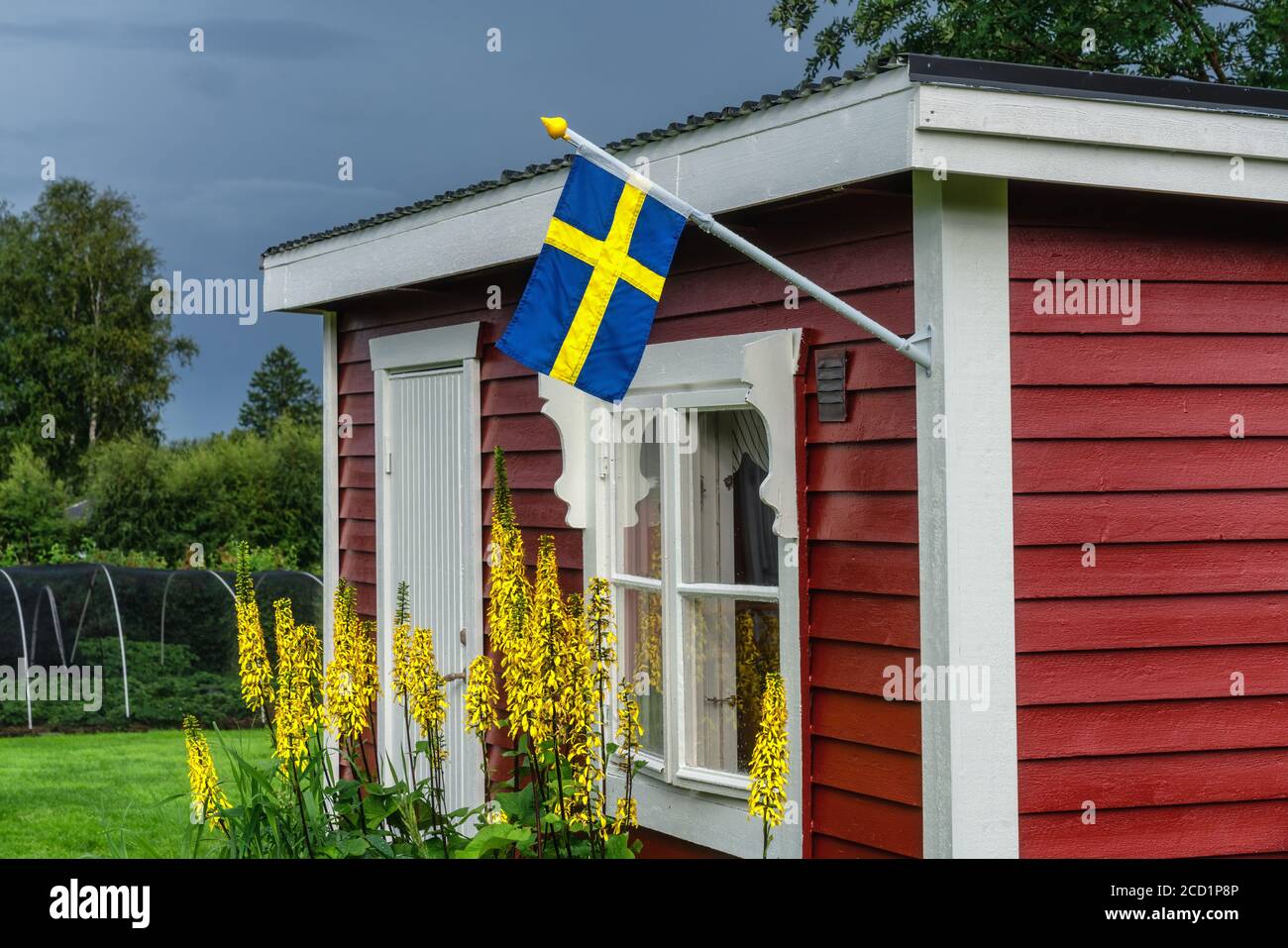 Drapeau suédois sur le traditionnel suédois petit cottage en bois rouge, fenêtre blanche, porte. Jour d'été après la pluie, fleurs jaunes, arbres verts et paille Banque D'Images
