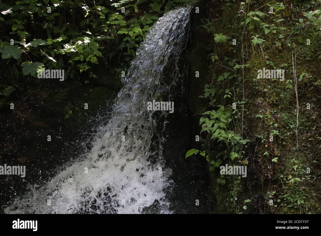 Paysage naturel avec cascades dans le Trentin, dans le nord de l'Italie Banque D'Images