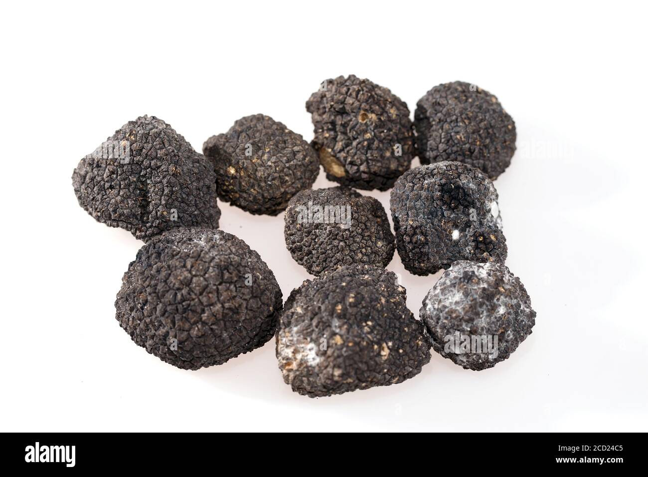 Truffes noires isolé sur fond blanc Banque D'Images