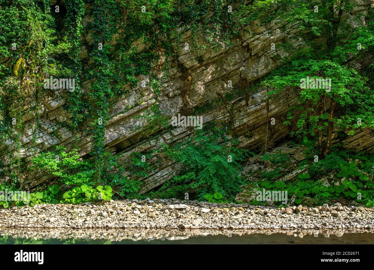 La nature du parc national de Sotchi des arbres de buis. Mur de falaises karstiques blanches. La montagne d'émeraude dans le Caucase. Banque D'Images