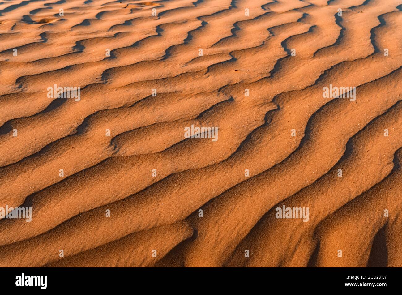 Close up image de sable magnifique texture background Banque D'Images