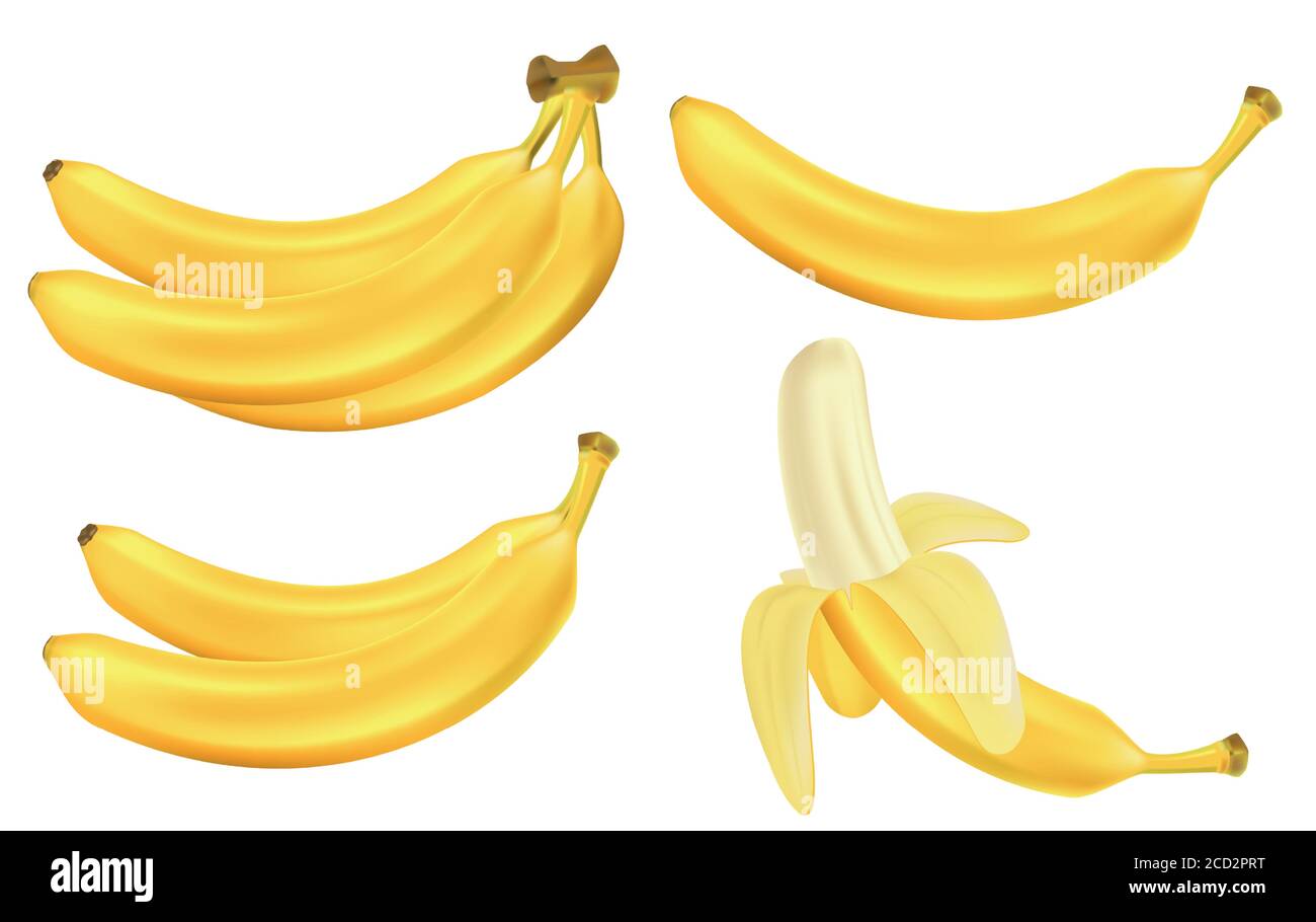 Ensemble réaliste de bananes isolées sur blanc. Petits pains de fruits frais de banane jaune. Illustration vectorielle de fruits tropicaux Illustration de Vecteur