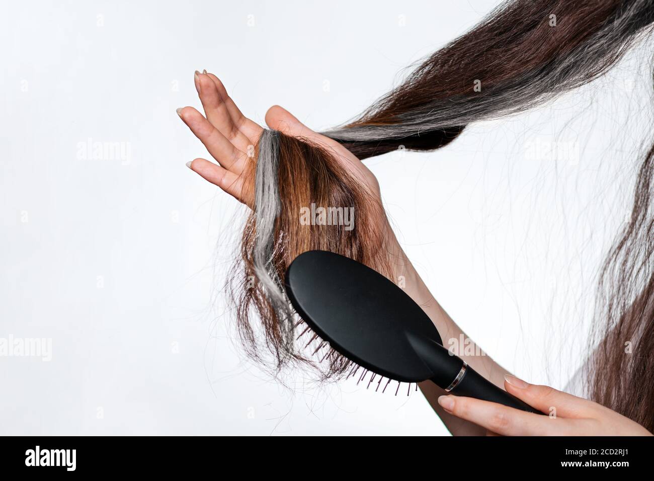 Mèche de cheveux gris Banque de photographies et d'images à haute  résolution - Alamy