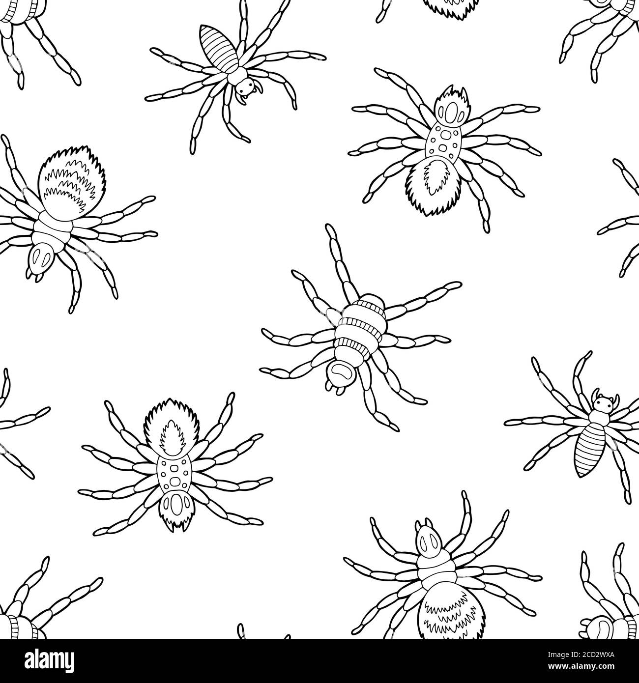 Motif araignée noir blanc sans couture fond esquisse vecteur d'illustration Illustration de Vecteur