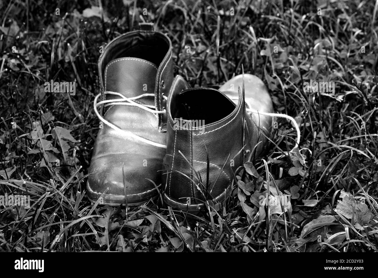 Bottes en cuir chaudes pour hommes sur fond d'herbe, image d'un Banque D'Images