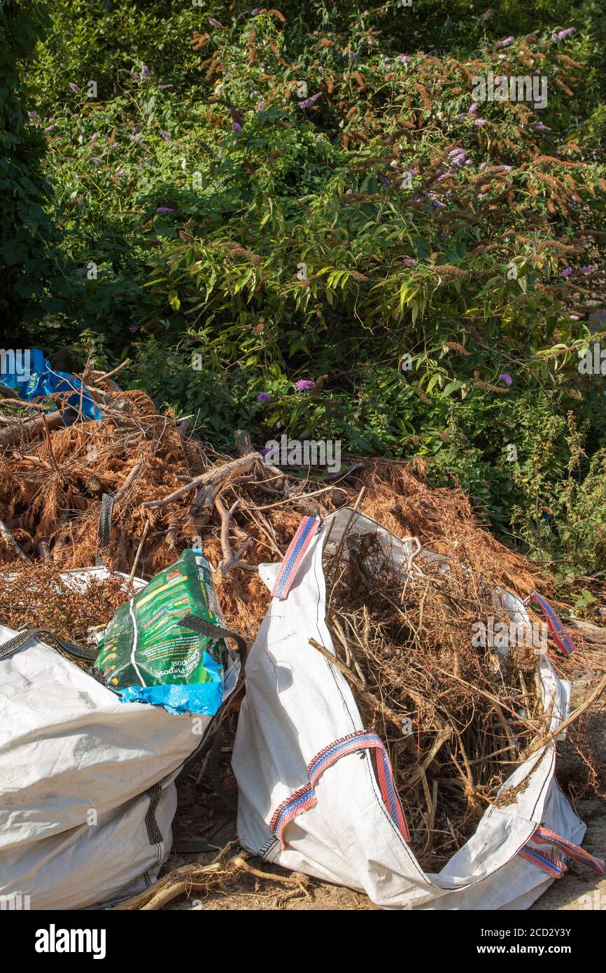 Les déchets ménagers rejetés de manière informelle entament une allée, une destruction de l'environnement à l'échelle de la communauté Banque D'Images