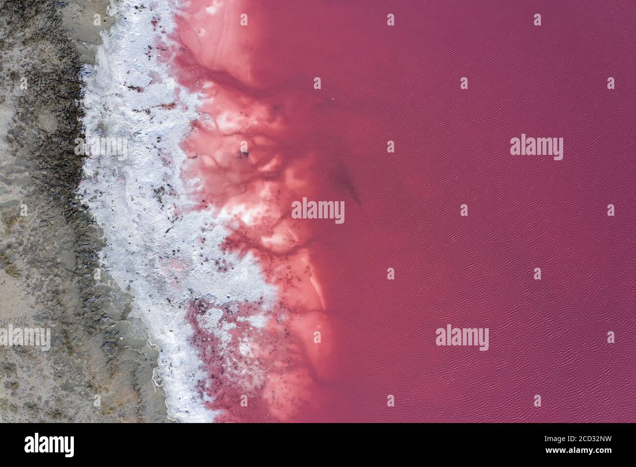 Vue de dessus de la rive du lac Rose recouverte de sel. Banque D'Images