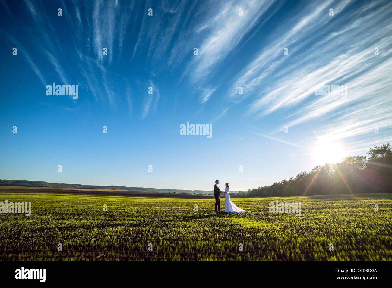 marié élégant et mariée brune chic sur un fond de nature et de ciel bleu. Vue de loin Banque D'Images