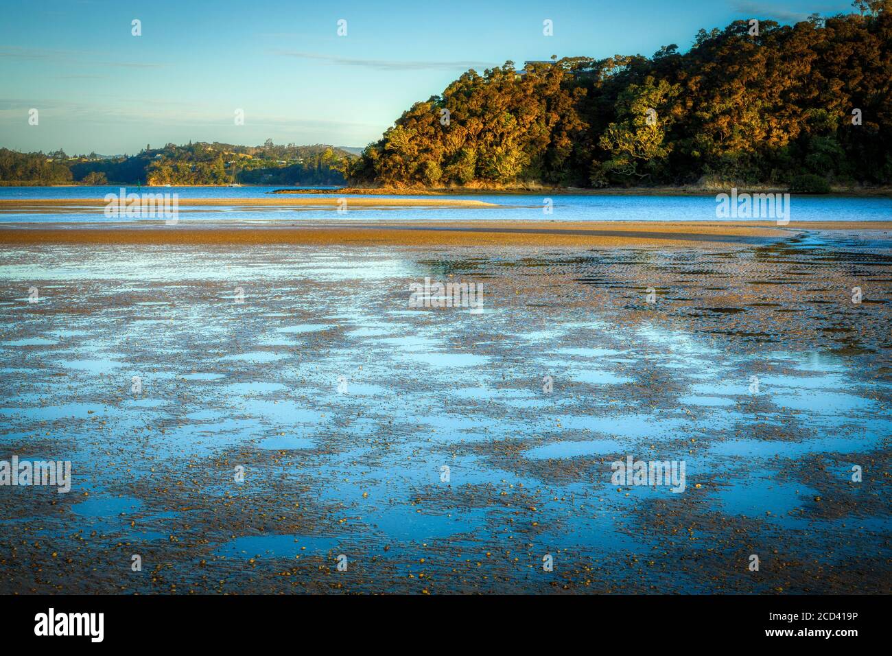 L'estuaire côtier de la plage de Paihia et de la baie des îles, Île du Nord, Nouvelle-Zélande. Banque D'Images
