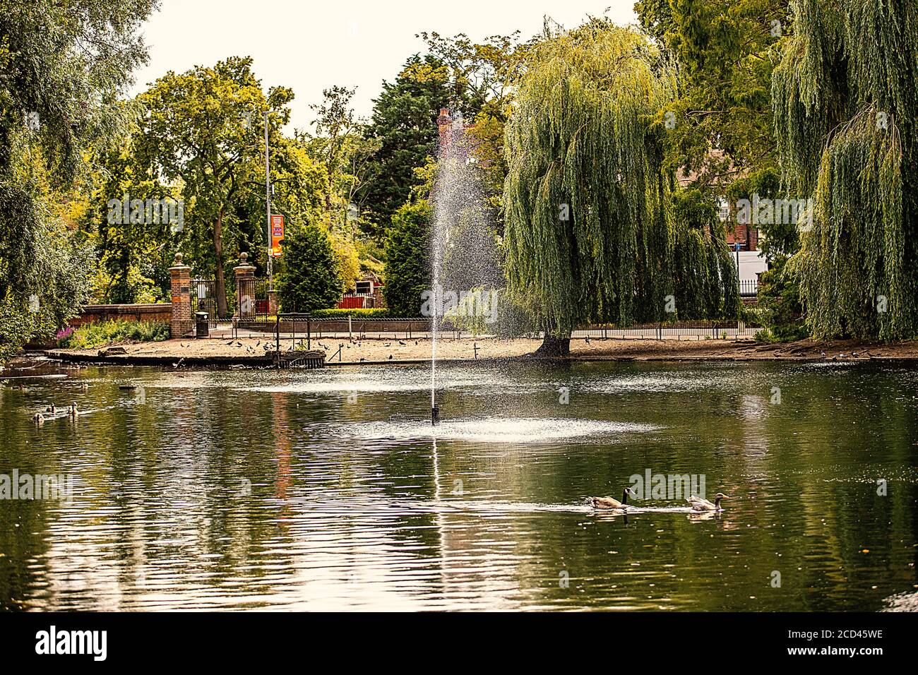 La fontaine à Wardown Park, Luton, Bedfordshire, Royaume-Uni Banque D'Images