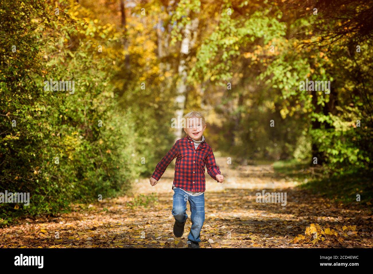 Un garçon blond dans une chemise à carreaux s'enlonge dans la ruelle d'automne. Banque D'Images