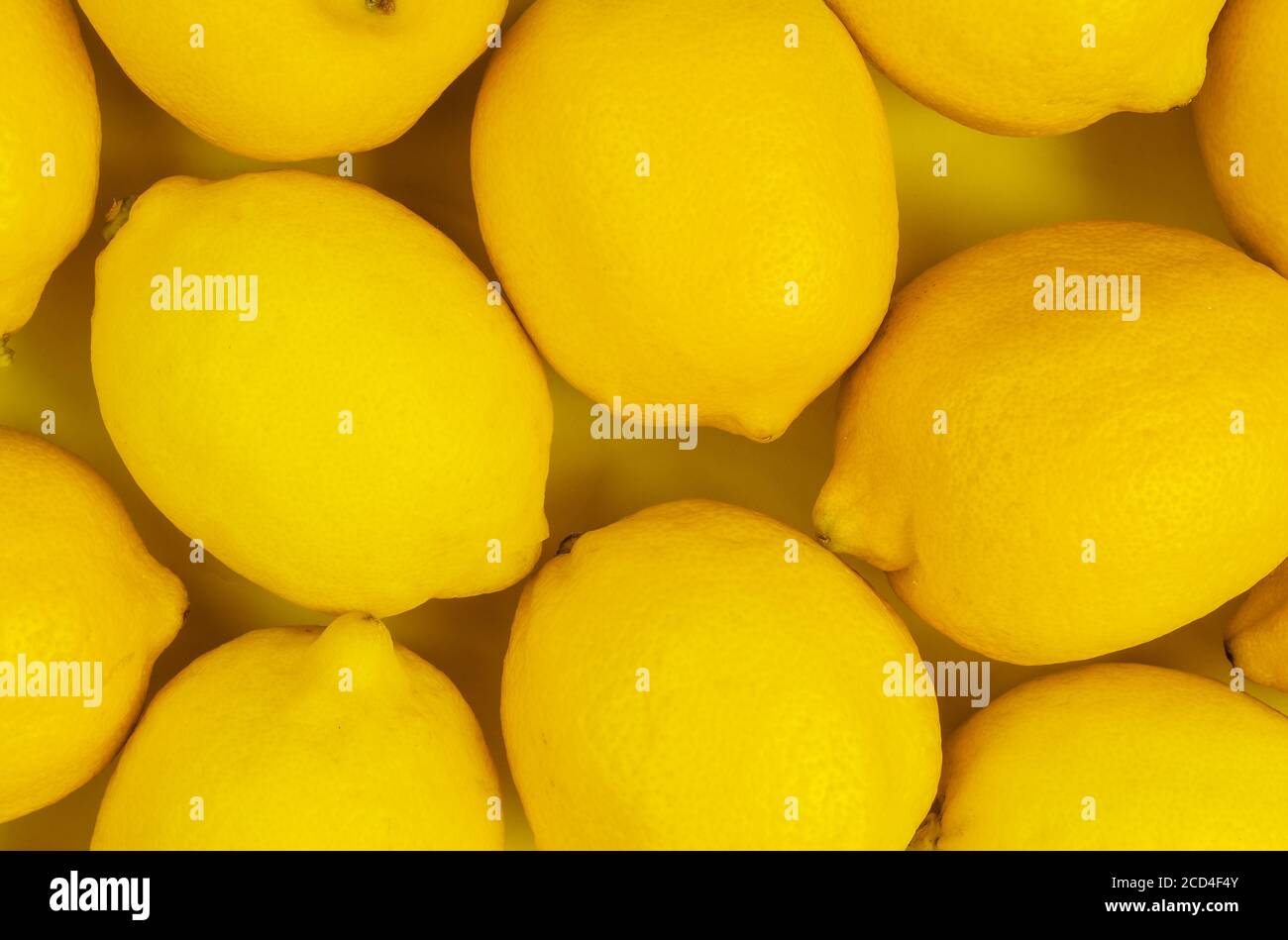 Vue de dessus de citrons mûrs sur fond jaune Banque D'Images