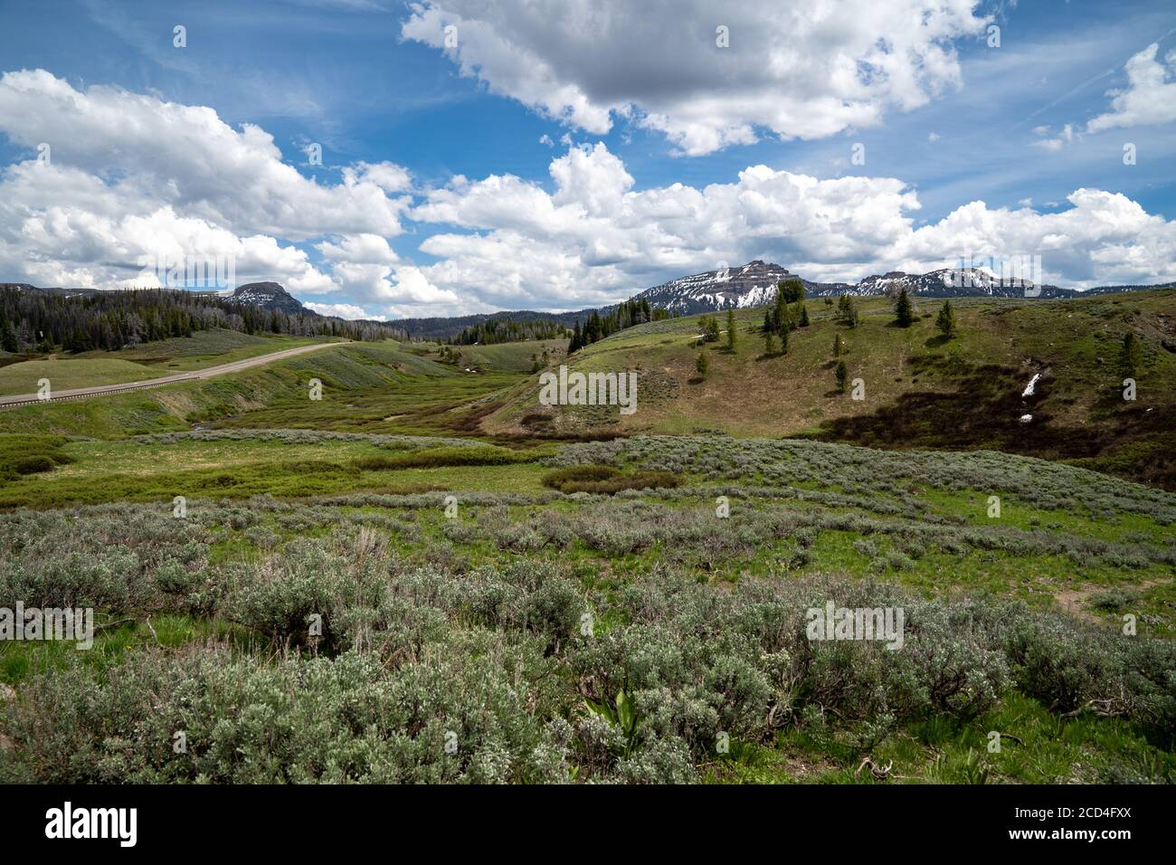 Vue sur la forêt nationale de Shoshone et les montagnes de Wind River - falaises de Breccia, dans le Wyoming, au col de Togwotee Banque D'Images