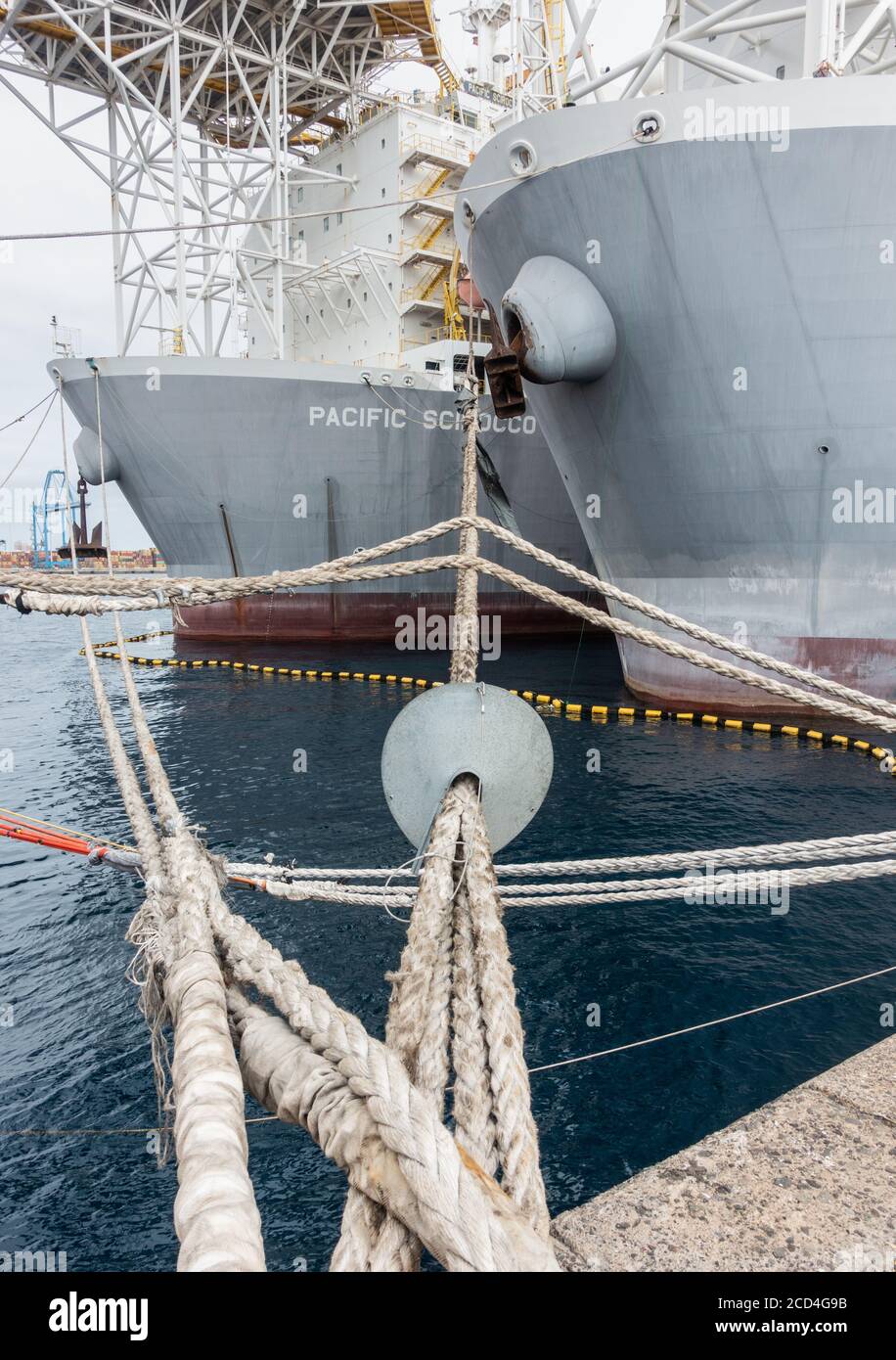Les protège-rats sur la corde d'amarrage du navire pour empêcher les rats d'obtenir à bord Banque D'Images