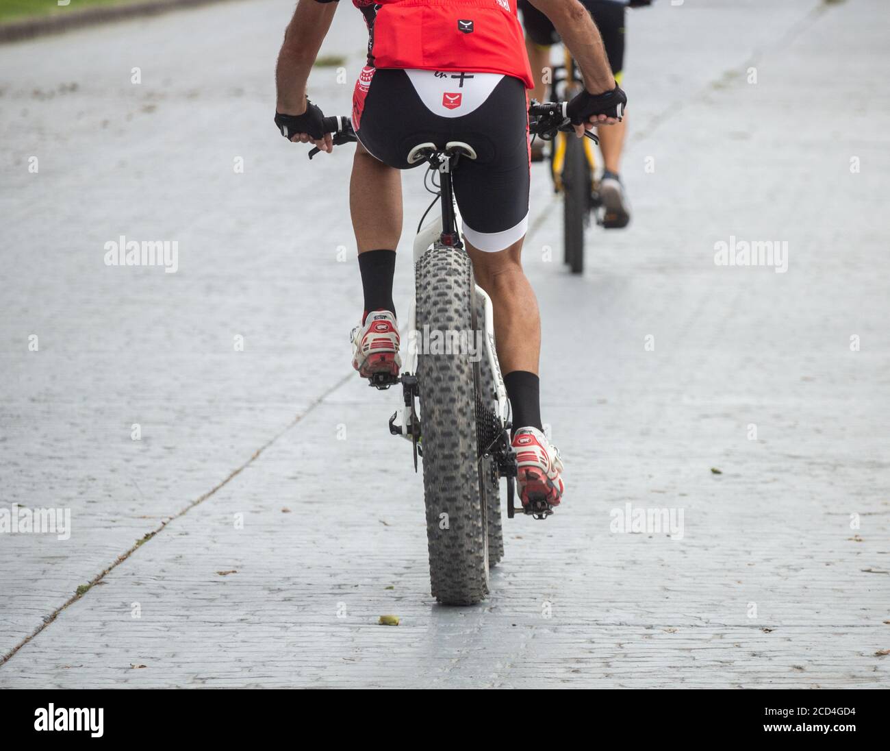 Pneus gras sur VTT. Banque D'Images