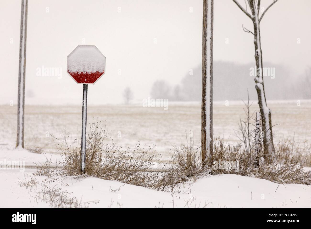 Mohawk Valley, État de New York : un panneau d'arrêt, des contreforts et des poteaux sont pillés de neige et de glace pendant une tempête. Banque D'Images