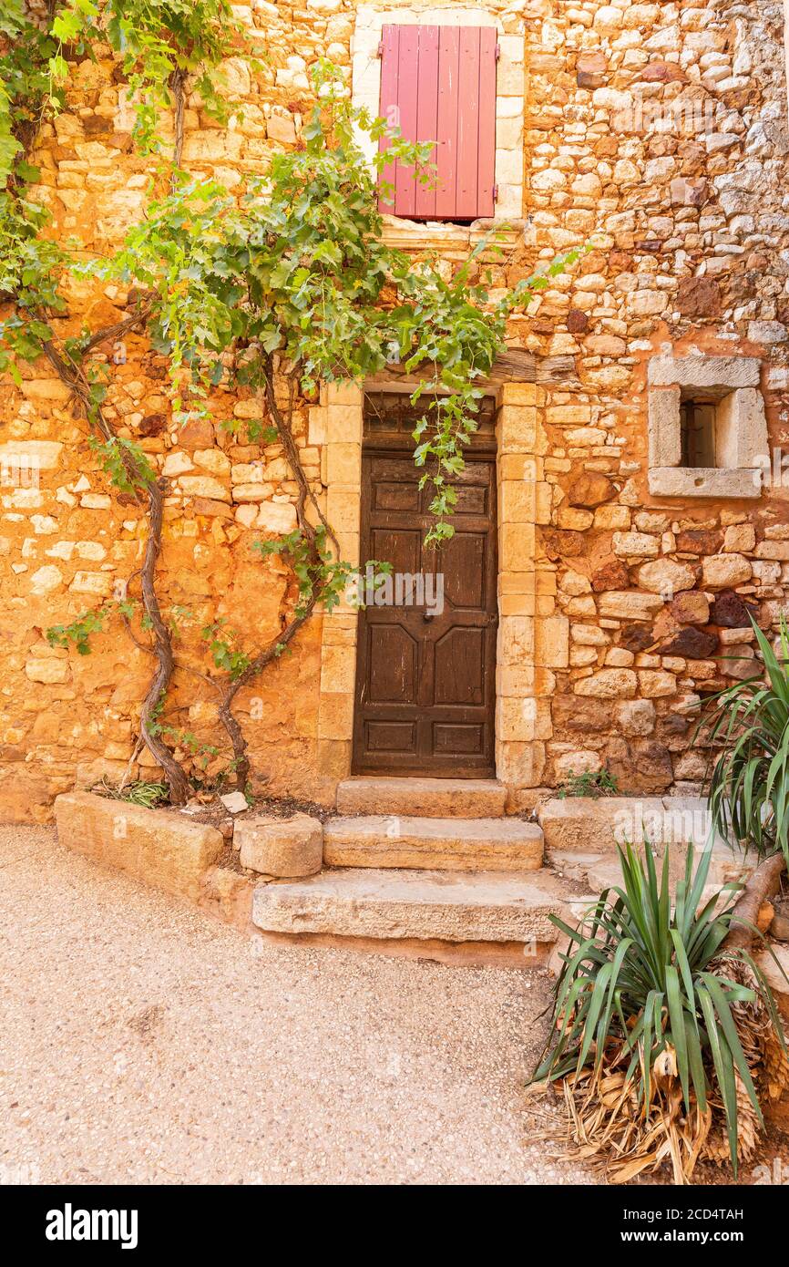 Une vigne qui grandit sur le côté d'une maison dans le village pittoresque de Roussillon, Luberon, France Banque D'Images