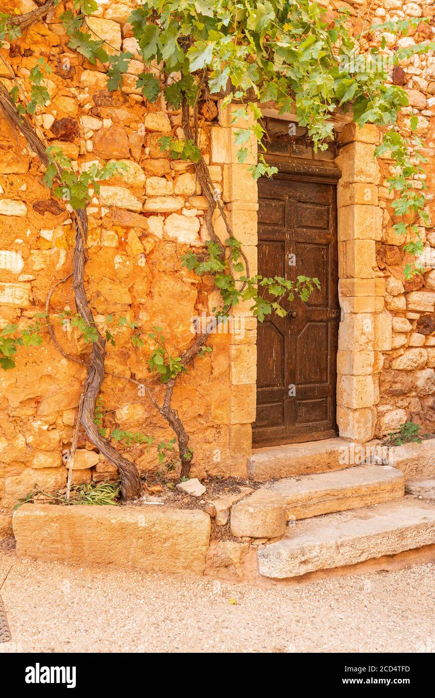 Une vigne qui grandit sur le côté d'une maison dans le village pittoresque de Roussillon, Luberon, France Banque D'Images