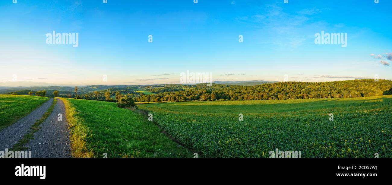 Paysage avec champ de soja, Globe Hill, Pine Plains, État de New York, États-Unis Banque D'Images