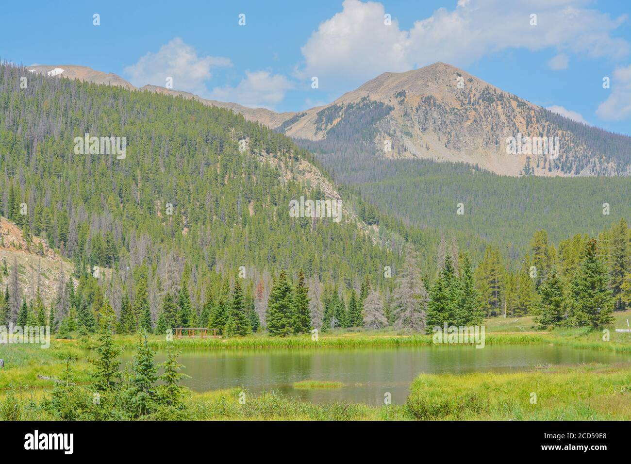 Belles montagnes, forêt et paysage près de Monarch Pass dans les montagnes Rocheuses du Colorado Banque D'Images
