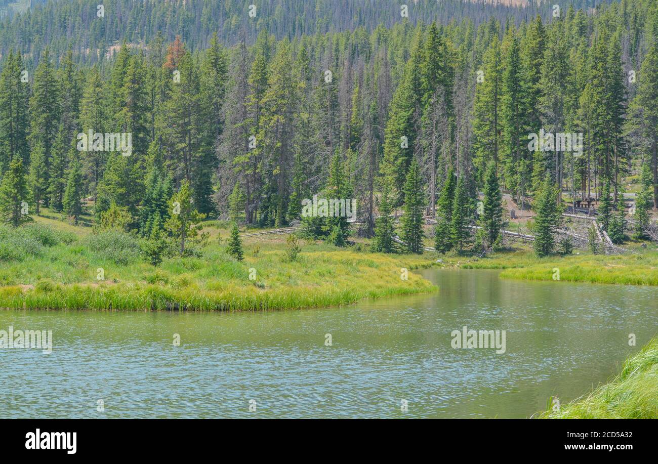 Belles montagnes, forêt et paysage près de Monarch Pass dans les montagnes Rocheuses du Colorado Banque D'Images