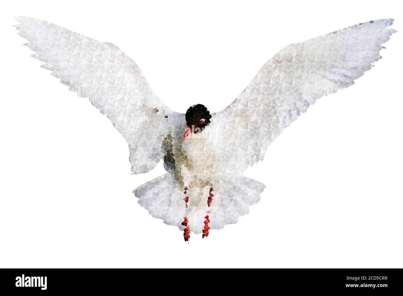 Image d'oiseau polygonale. Faible poly art géométrique arrière-plan blanc. Banque D'Images