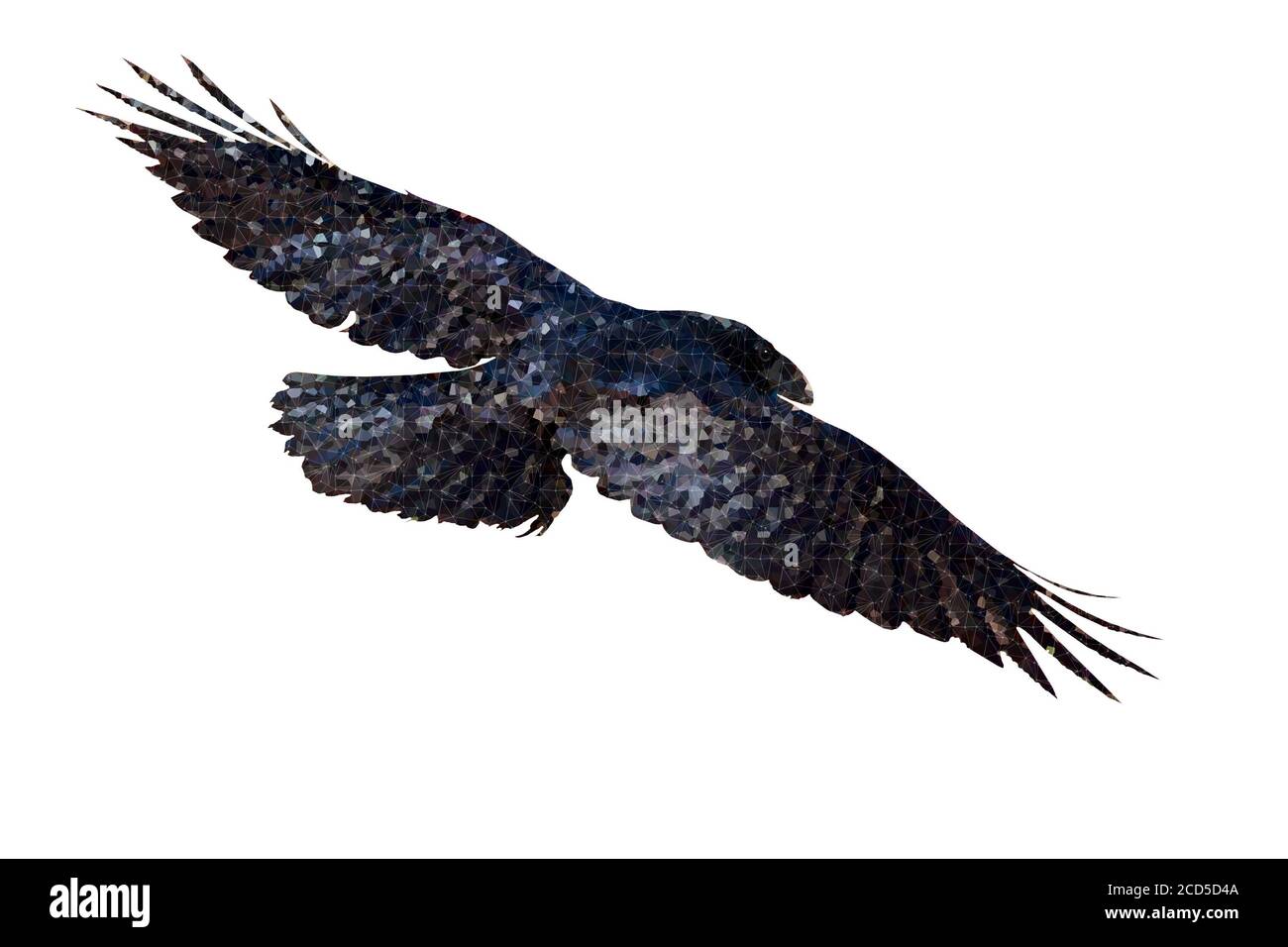 Image d'oiseau polygonale. Faible poly art géométrique arrière-plan blanc. Banque D'Images