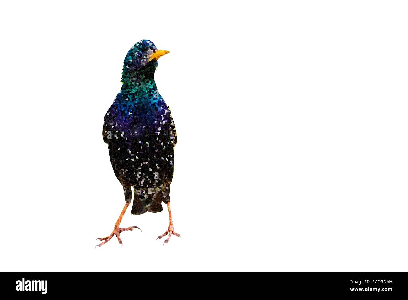 Image d'oiseau polygonale. Faible poly art géométrique arrière-plan blanc. Banque D'Images