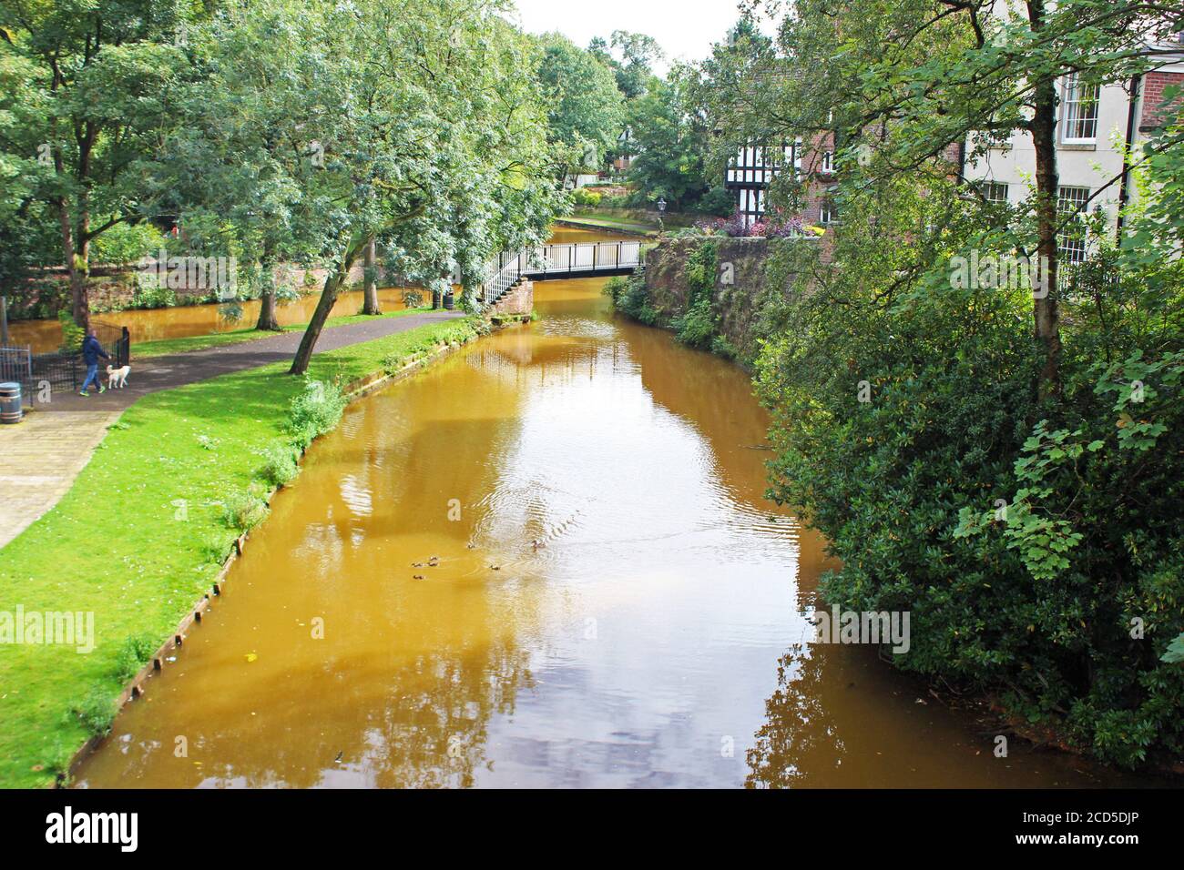 Magnifique paysage du canal de Bridgewater (rivière brune) qui coule sous un pont et traverse des arbres dans le village de Worsley, en Angleterre Banque D'Images