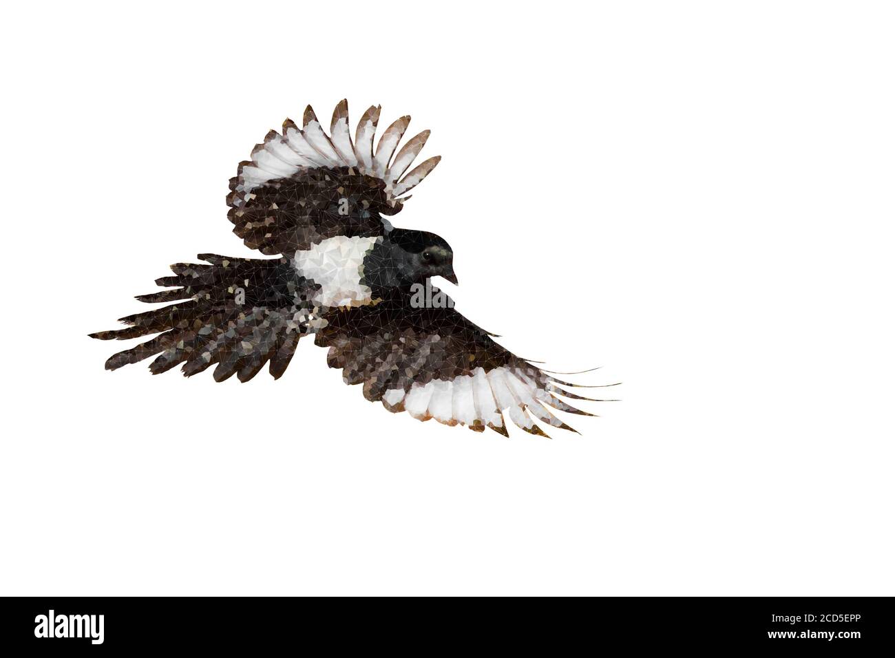 Image d'oiseau polygonale. Faible poly art géométrique arrière-plan blanc. Banque D'Images