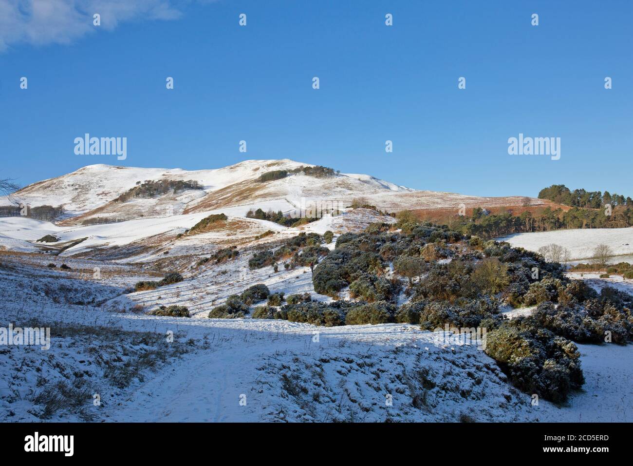 Scald Law et Carnethy Hill, parc régional de Pentland Hills en hiver Banque D'Images