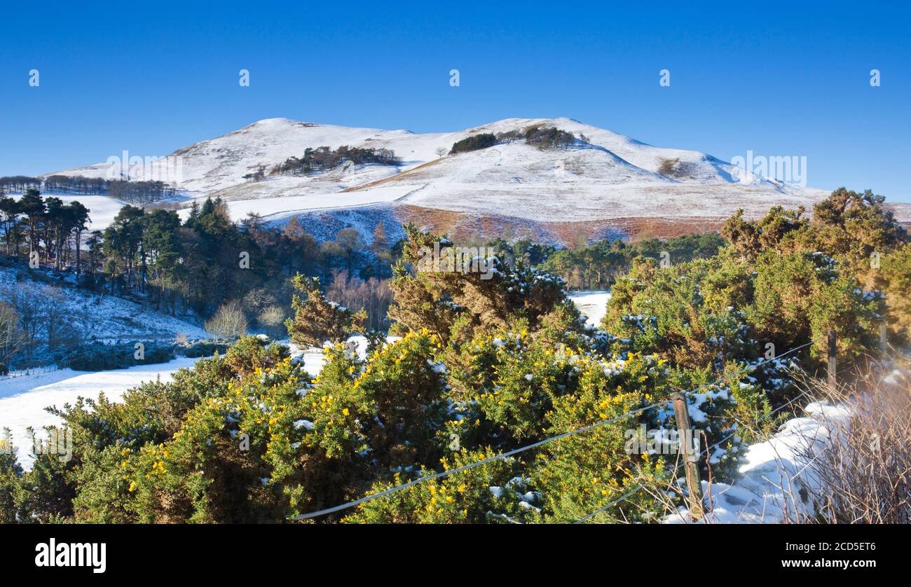 Scald Law et Carnethy Hill, parc régional de Pentland Hills en hiver Banque D'Images